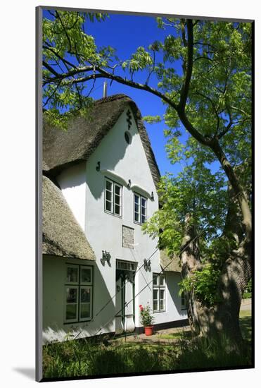 Thatched Captain's House under an Old Ash on the Corner 'Kastanienweg' (Street-Uwe Steffens-Mounted Photographic Print