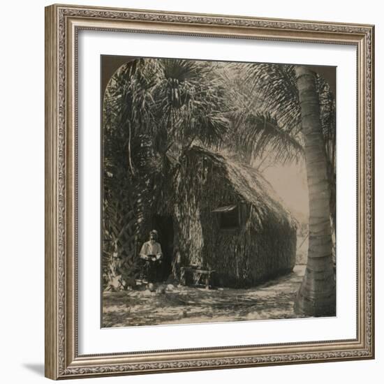 'Thatched Cottage in Cocoanut Grove, Florida, U.S.A.', c1900-Unknown-Framed Photographic Print