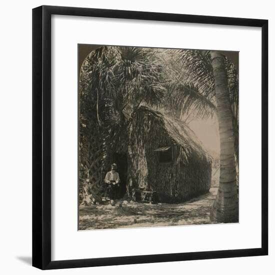 'Thatched Cottage in Cocoanut Grove, Florida, U.S.A.', c1900-Unknown-Framed Photographic Print