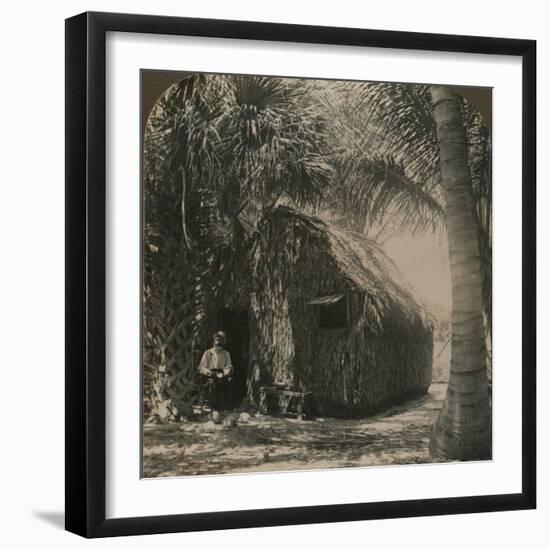 'Thatched Cottage in Cocoanut Grove, Florida, U.S.A.', c1900-Unknown-Framed Photographic Print