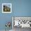 Thatched Cottage Near Burscough in Lancashire, Northern England 1972-null-Framed Photographic Print displayed on a wall