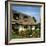 Thatched Cottage Near Burscough in Lancashire, Northern England 1972-null-Framed Photographic Print