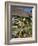 Thatched Cottage, Selsey, Sussex, England, United Kingdom-Charles Bowman-Framed Photographic Print