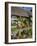 Thatched Cottage, Selsey, Sussex, England, United Kingdom-Charles Bowman-Framed Photographic Print