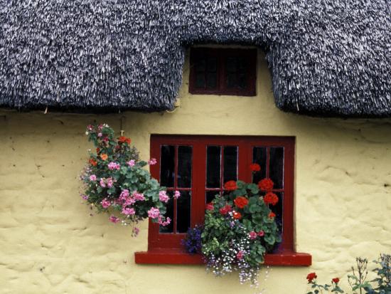 Thatched Cottage With Red Window Adare Limerick Ireland