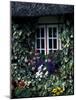 Thatched Cottage with White Window, Adare, Limerick, Ireland-Marilyn Parver-Mounted Photographic Print