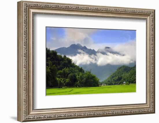 Thatched cottages and rice paddy fields with misty mountains behind, Mai Chau, Vietnam, Indochina,-Alex Robinson-Framed Photographic Print