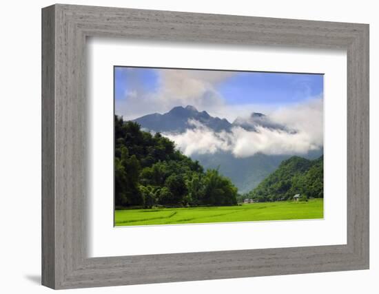 Thatched cottages and rice paddy fields with misty mountains behind, Mai Chau, Vietnam, Indochina,-Alex Robinson-Framed Photographic Print