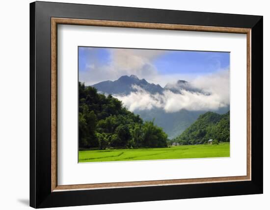 Thatched cottages and rice paddy fields with misty mountains behind, Mai Chau, Vietnam, Indochina,-Alex Robinson-Framed Photographic Print