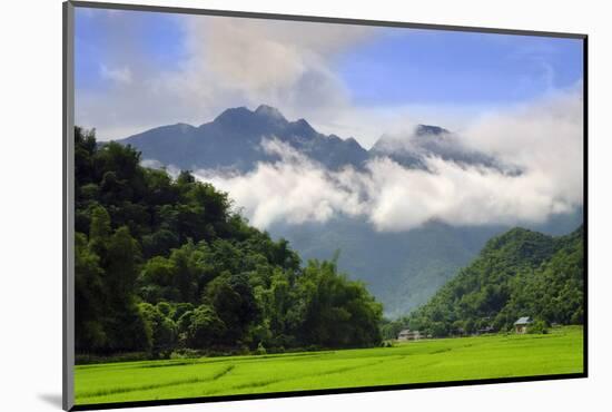 Thatched cottages and rice paddy fields with misty mountains behind, Mai Chau, Vietnam, Indochina,-Alex Robinson-Mounted Photographic Print