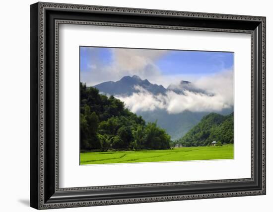 Thatched cottages and rice paddy fields with misty mountains behind, Mai Chau, Vietnam, Indochina,-Alex Robinson-Framed Photographic Print