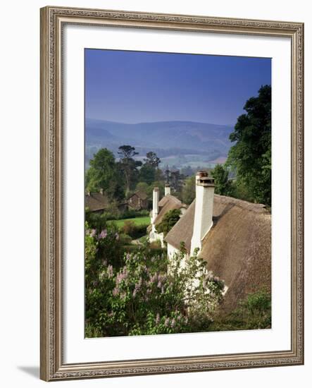 Thatched Cottages at Selworthy Green, with Exmoor Beyond, Somerset, England, United Kingdom-Chris Nicholson-Framed Photographic Print