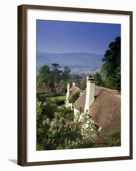 Thatched Cottages at Selworthy Green, with Exmoor Beyond, Somerset, England, United Kingdom-Chris Nicholson-Framed Photographic Print