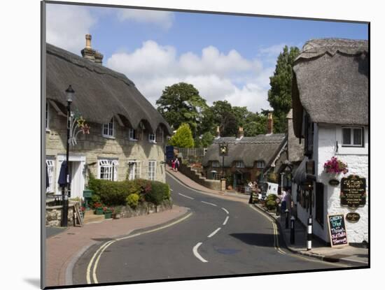 Thatched Houses, Teashop and Pub, Shanklin, Isle of Wight, England, United Kingdom, Europe-Rainford Roy-Mounted Photographic Print