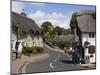 Thatched Houses, Teashop and Pub, Shanklin, Isle of Wight, England, United Kingdom, Europe-Rainford Roy-Mounted Photographic Print