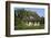 Thatched-Roof House Captain's House with Garden in Born on the Darss Peninsula-Uwe Steffens-Framed Photographic Print