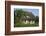 Thatched-Roof House Captain's House with Garden in Born on the Darss Peninsula-Uwe Steffens-Framed Photographic Print