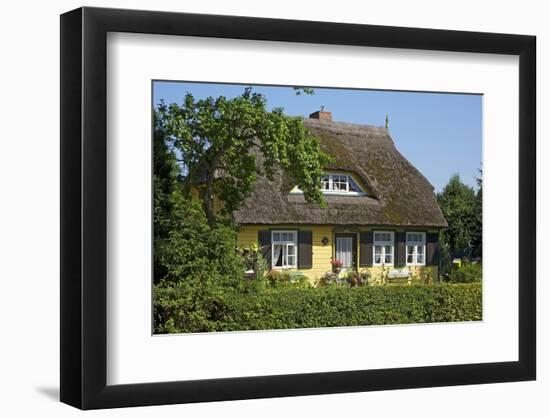 Thatched-Roof House Captain's House with Garden in Born on the Darss Peninsula-Uwe Steffens-Framed Photographic Print