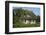 Thatched-Roof House Captain's House with Garden in Born on the Darss Peninsula-Uwe Steffens-Framed Photographic Print