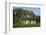 Thatched-Roof House Captain's House with Garden in Born on the Darss Peninsula-Uwe Steffens-Framed Photographic Print