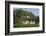 Thatched-Roof House Captain's House with Garden in Born on the Darss Peninsula-Uwe Steffens-Framed Photographic Print