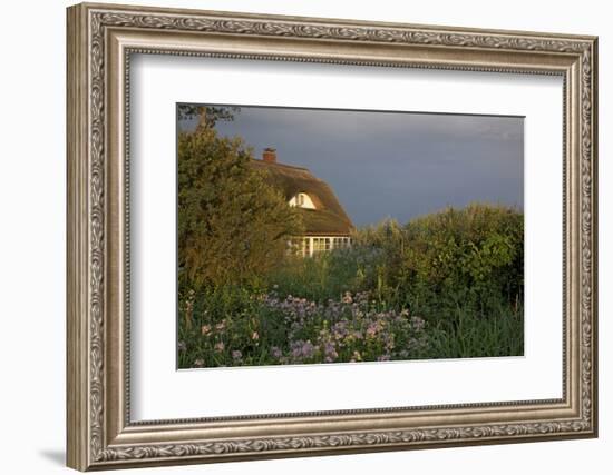 Thatched-Roof House in the Middle of Lush Green and Blossoms in the First Sunlight-Uwe Steffens-Framed Photographic Print