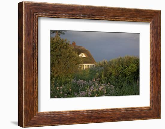 Thatched-Roof House in the Middle of Lush Green and Blossoms in the First Sunlight-Uwe Steffens-Framed Photographic Print