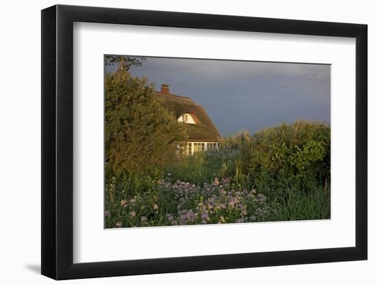 Thatched-Roof House in the Middle of Lush Green and Blossoms in the First Sunlight-Uwe Steffens-Framed Photographic Print