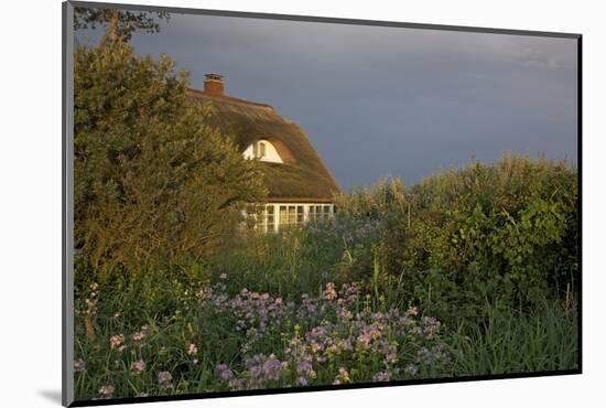 Thatched-Roof House in the Middle of Lush Green and Blossoms in the First Sunlight-Uwe Steffens-Mounted Photographic Print