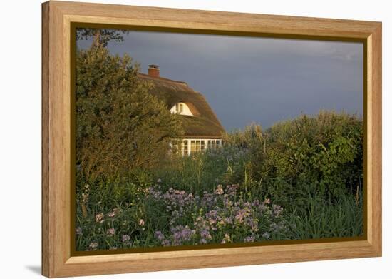 Thatched-Roof House in the Middle of Lush Green and Blossoms in the First Sunlight-Uwe Steffens-Framed Premier Image Canvas