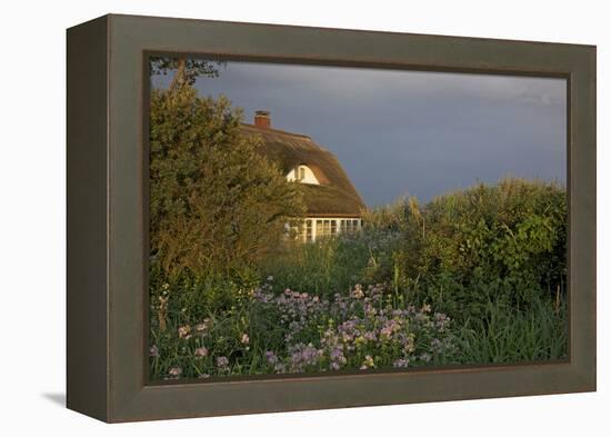 Thatched-Roof House in the Middle of Lush Green and Blossoms in the First Sunlight-Uwe Steffens-Framed Premier Image Canvas