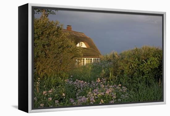 Thatched-Roof House in the Middle of Lush Green and Blossoms in the First Sunlight-Uwe Steffens-Framed Premier Image Canvas