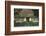 Thatched-Roof House with Traditional Front Door in Born on the Darss Peninsula-Uwe Steffens-Framed Photographic Print