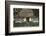 Thatched-Roof House with Traditional Front Door in Born on the Darss Peninsula-Uwe Steffens-Framed Photographic Print