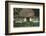 Thatched-Roof House with Traditional Front Door in Born on the Darss Peninsula-Uwe Steffens-Framed Photographic Print