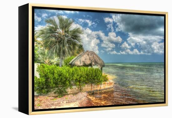 Thatched Roof-Robert Goldwitz-Framed Premier Image Canvas