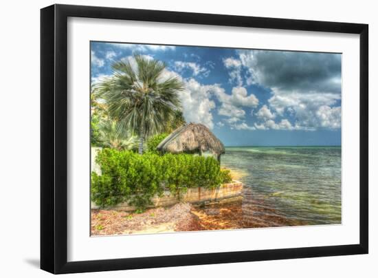 Thatched Roof-Robert Goldwitz-Framed Photographic Print