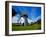 Thatched Windmill, Tacumshane, County Wexford, Ireland-null-Framed Photographic Print