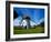 Thatched Windmill, Tacumshane, County Wexford, Ireland-null-Framed Photographic Print