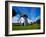 Thatched Windmill, Tacumshane, County Wexford, Ireland-null-Framed Photographic Print