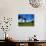 Thatched Windmill, Tacumshane, County Wexford, Ireland-null-Photographic Print displayed on a wall