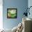 Thats Life-Clayton Rabo-Framed Premier Image Canvas displayed on a wall