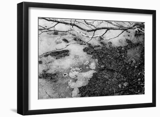 Thaw-Latitude 59 LLP-Framed Photographic Print