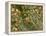 THC Cannabis Drug Crystals-Steve Gschmeissner-Framed Premier Image Canvas