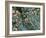 THC Cannabis Drug Crystals-Steve Gschmeissner-Framed Photographic Print