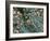 THC Cannabis Drug Crystals-Steve Gschmeissner-Framed Photographic Print