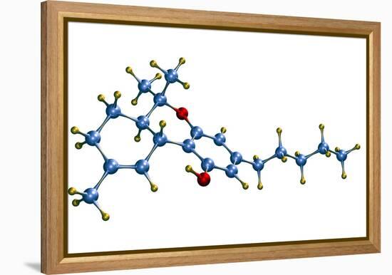 THC Cannabis Drug Molecule-Dr. Mark J.-Framed Premier Image Canvas