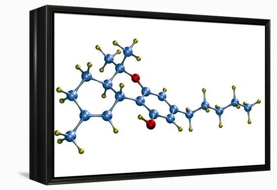 THC Cannabis Drug Molecule-Dr. Mark J.-Framed Premier Image Canvas