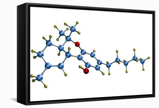 THC Cannabis Drug Molecule-Dr. Mark J.-Framed Premier Image Canvas