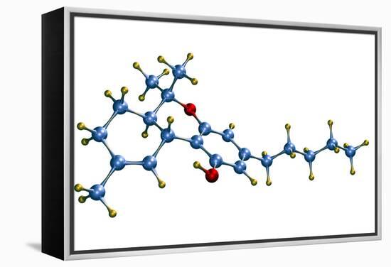 THC Cannabis Drug Molecule-Dr. Mark J.-Framed Premier Image Canvas